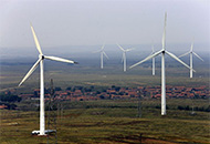 紅枸杞、蕨麻、藜麥